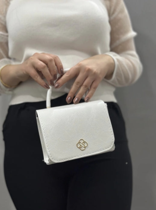 🅥🅔🅝🅛🅞🅡🅐™ Zarif Çanta